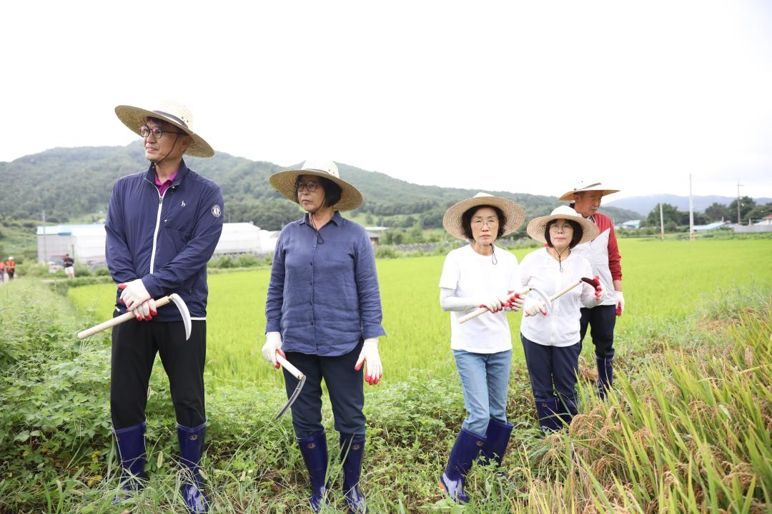 '친환경농업 벼베기 행사(23.8.24)' 게시글의 사진(5) '0O0A8876.JPG'