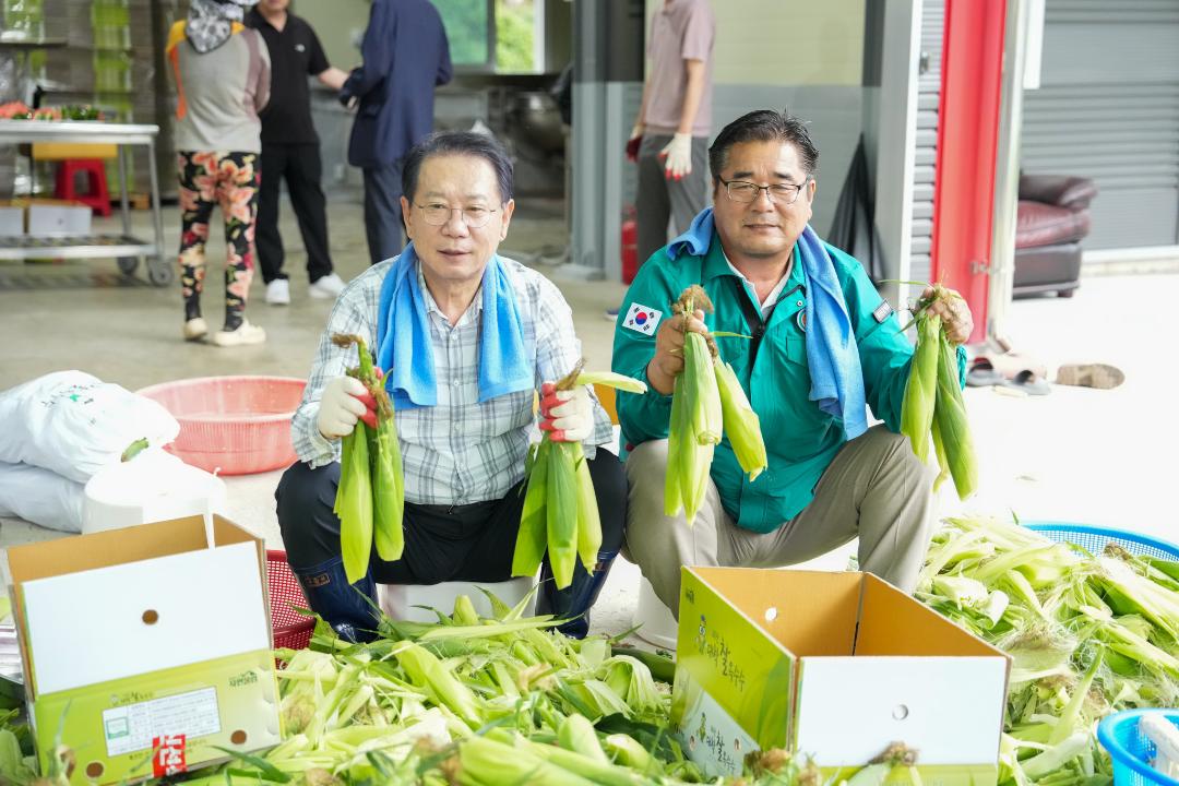 '괴산대학찰옥수수 첫 출하 행사(24.7.5.)' 게시글의 사진(5) 'DSC03162.jpg'