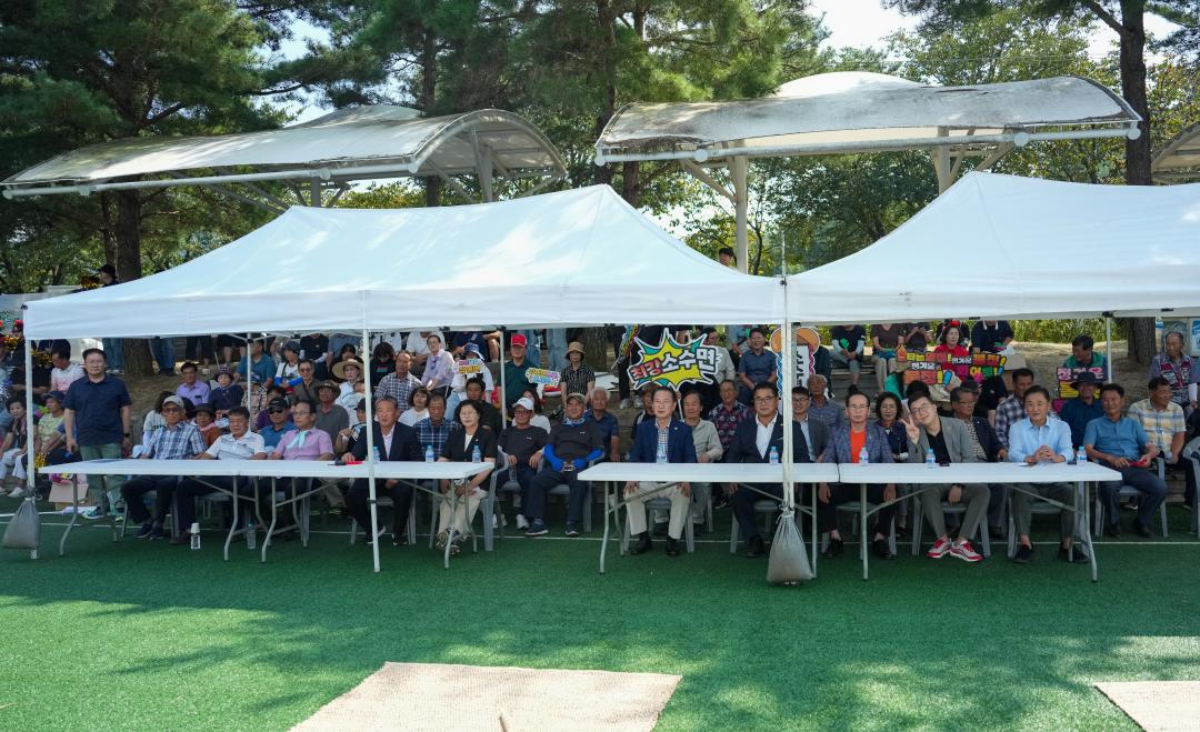 읍면화합행사 윷놀이(24.9.1.)