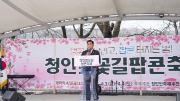 청안벛꽃길팝콘축제(26.4.3.)