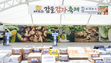 제15회 감물감자축제(26.6.12.)